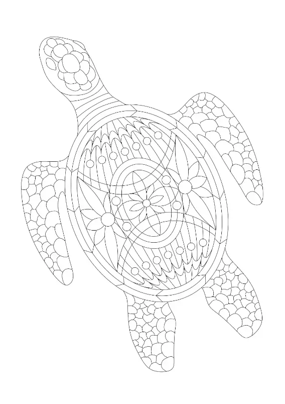 Free Turtle Picture To Color In