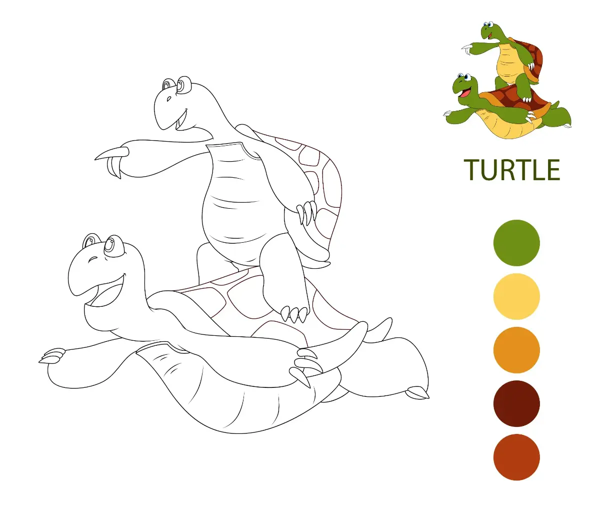 Free Turtle Picture To Color In