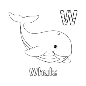 Free Whale Picture To Color In