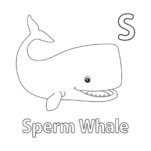 Free Whale Picture To Color In