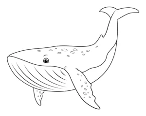 Free Whale Picture To Color In