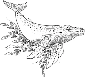 Free Whale Picture To Color In