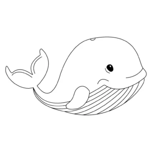 Free Whale Picture To Color In