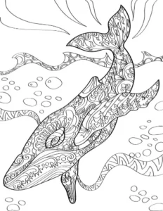 Free Whale Picture To Color In