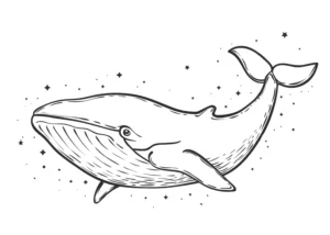 Free Whale Picture To Color In