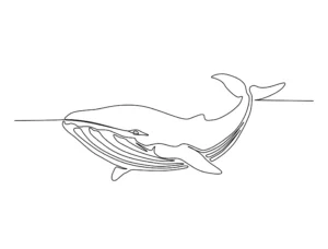 Free Whale Picture To Color In