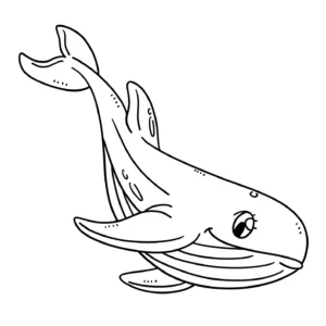 Free Whale Picture To Color In