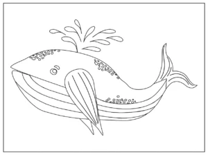 Free Whale Picture To Color In