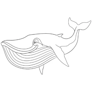 Free Whale Picture To Color In