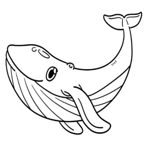 Free Whale Picture To Color In