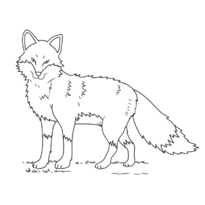 Free Wolf Picture To Color In