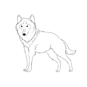 Free Wolf Picture To Color In