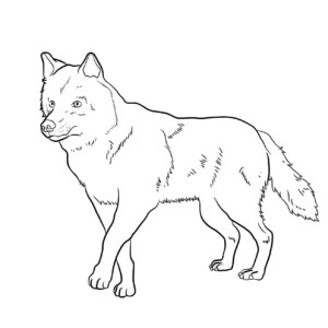 Free Wolf Picture To Color In