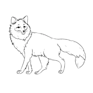 Free Wolf Picture To Color In