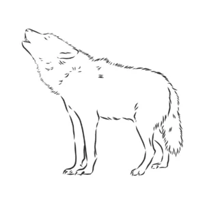 Free Wolf Picture To Color In